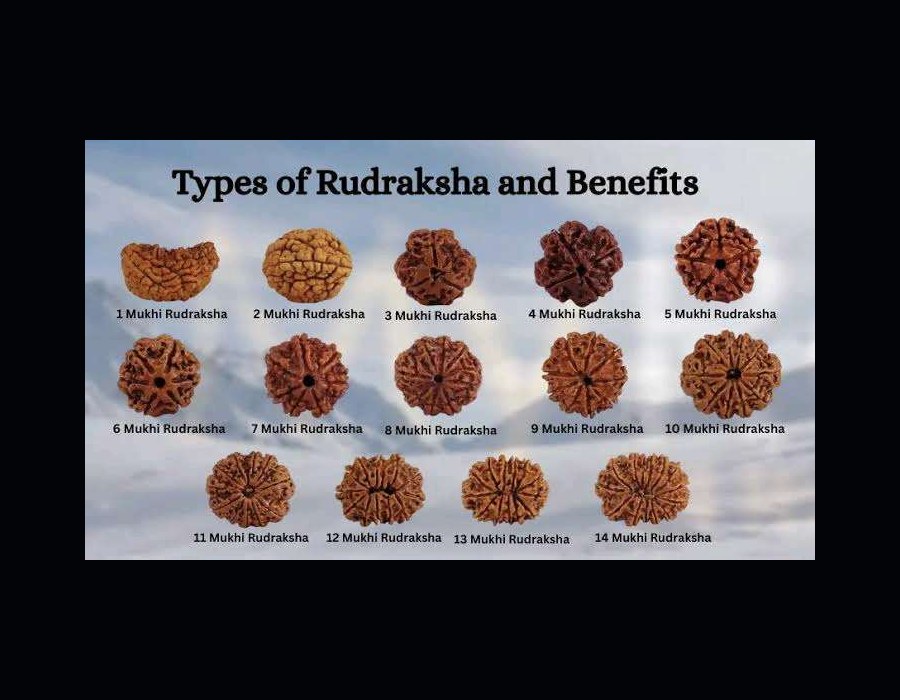 Rudraksha mukhi collection
